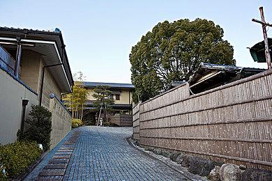 《守望先锋2》新英雄泄露 秘鲁治疗辅助英雄illari